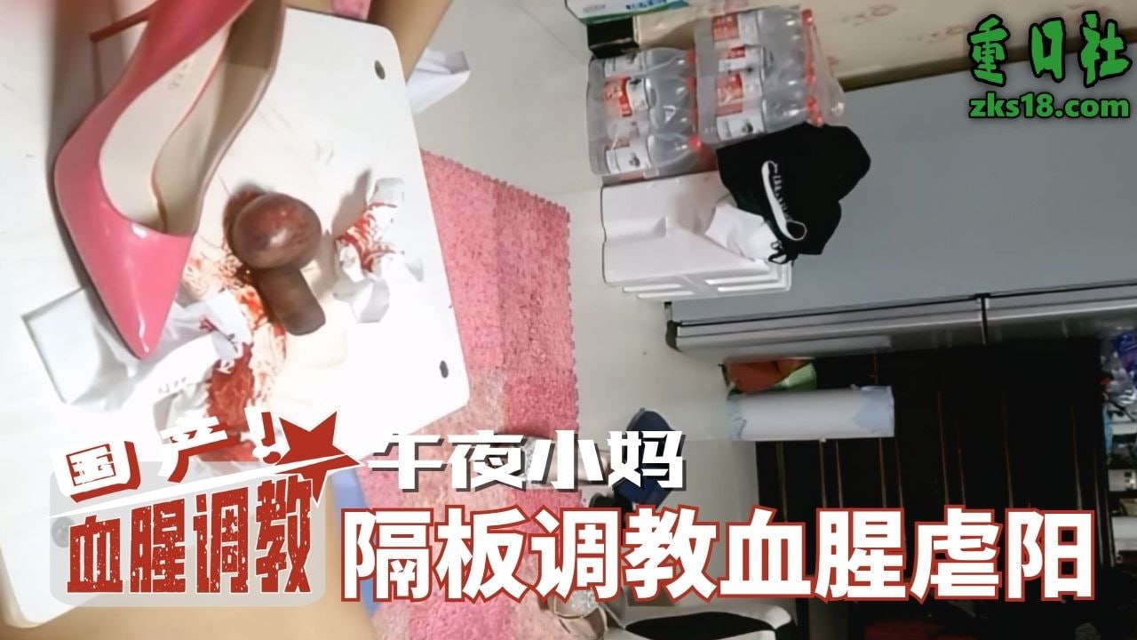 国产血腥调教-年夜小马隔板调教腥虎阳